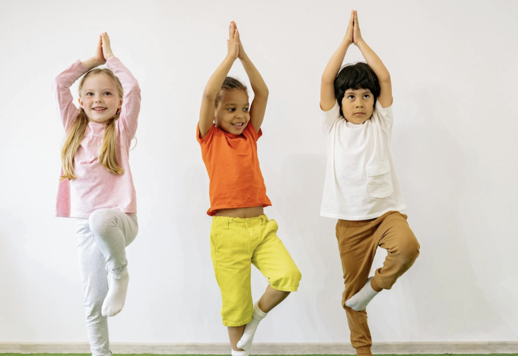 community inclusion, social participation, belonging